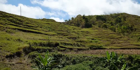 Mt. Bandilaan National Park