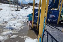 Thompson Lions Park景点图片