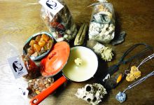Wildes Depot Freihafen - WDF购物图片