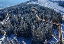 Treetop Walk Bachledka景点图片