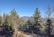 Rhododendron State Park景点图片