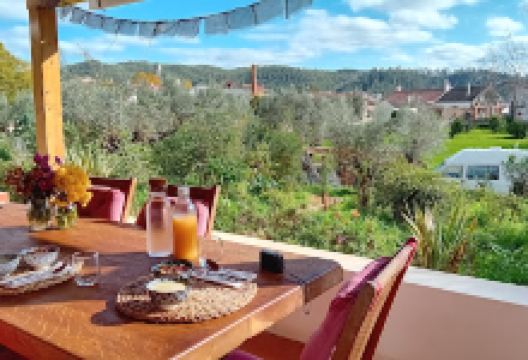 Horto do Amor购物图片