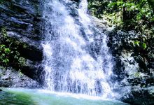 Peradayan Forest Reserve景点图片