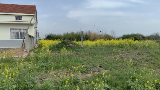 鄭遇春墓