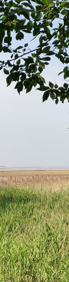 鸽子窝海鸥海滩-秦皇岛