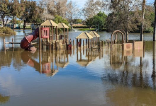 Polliwog Park景点图片