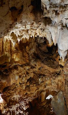 Jama - Grotta Baredine-Gedici
