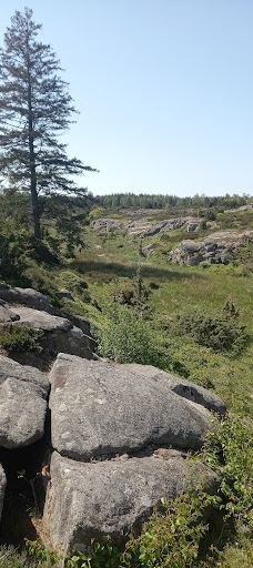 Rokkestenen-伯恩霍尔姆