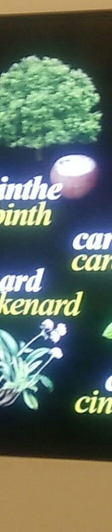 国际香水博物馆-格拉斯