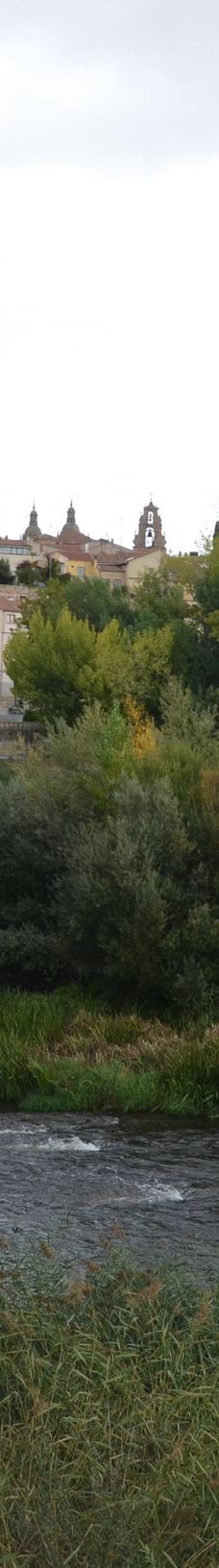 罗马古桥-萨拉曼卡