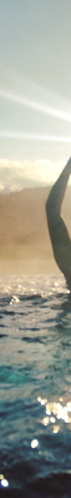 Magma - Centro Termal-圣科洛马·德法尔