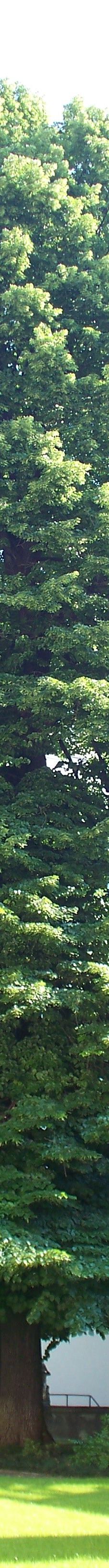 斯卡拉广场画廊-米兰