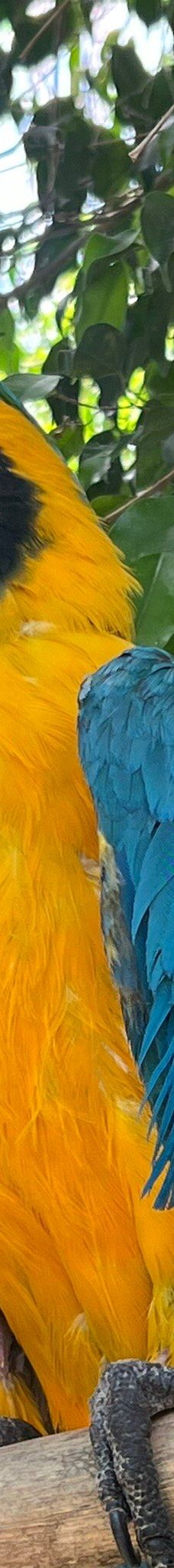 Butterfly Park Empuriabrava-Alt Emporda