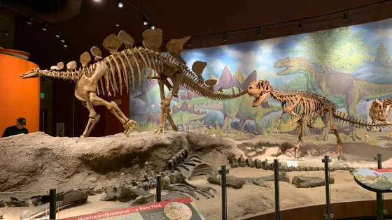 Utah Field House of Natural History State Park