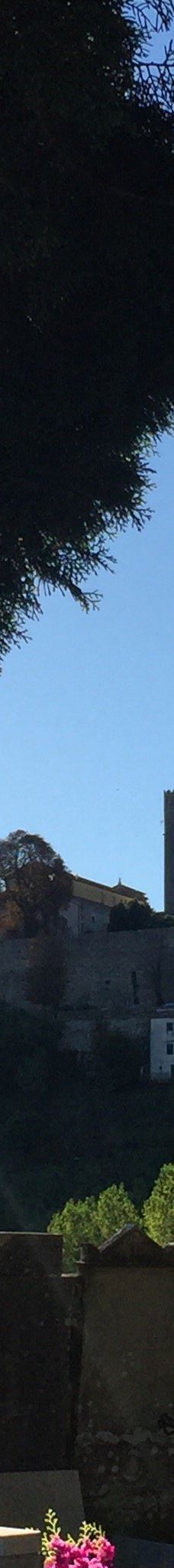 Motovun cemetery-莫托文