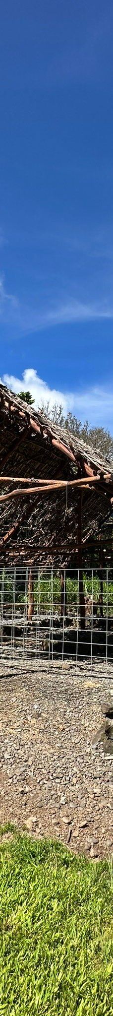 皮皮崴小径-茂宜县