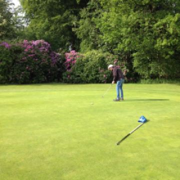 布伦讷斯莱乌图片