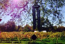 Ladoga Ridge Winery景点图片
