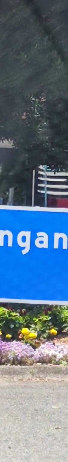 Mauao / Mount Maunganui summit-塔朗哥