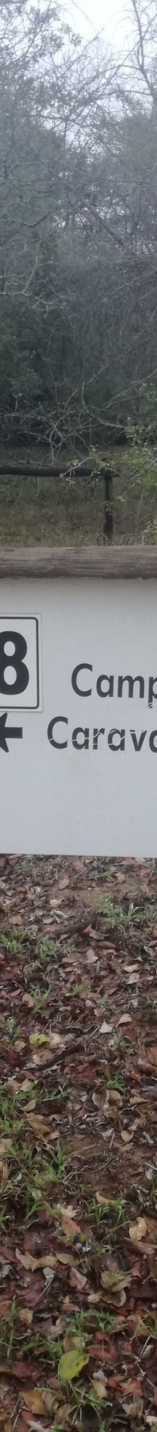 Bonamanzi Game Reserve-赫卢赫卢韦