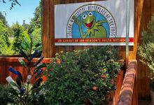 Jim Henson Delta Boyhood Exhibit景点图片