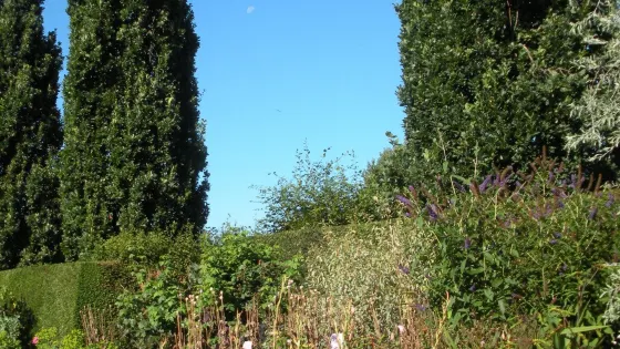 Broadview Gardens