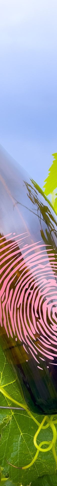 Healdsburg Plaza-希尔兹堡