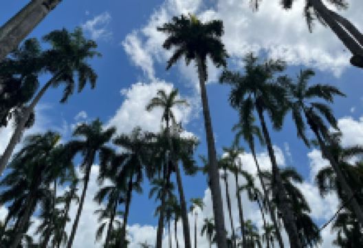 Fietsen in Suriname购物图片