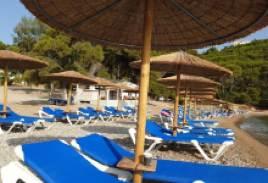 Ayia Paraskevi Beach景点图片