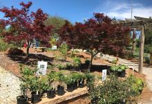 Hart County Botanical Garden景点图片