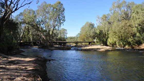 Low Level Nature Reserve