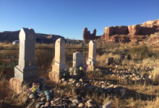 Pioneer Cemetery景点图片