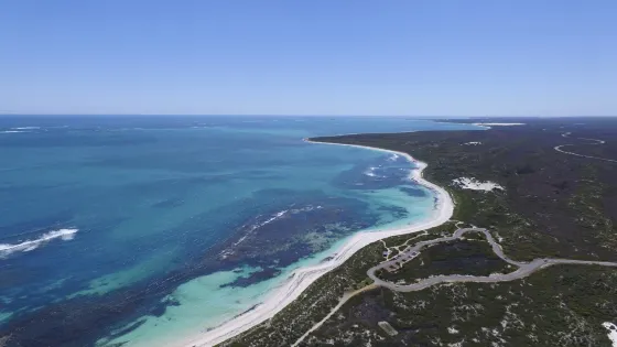 Hangover Bay
