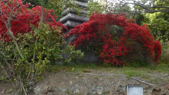 甲山焼窯跡