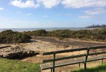 Jacks Beach Reserve景点图片