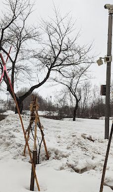 Akasaka General Park-横手市