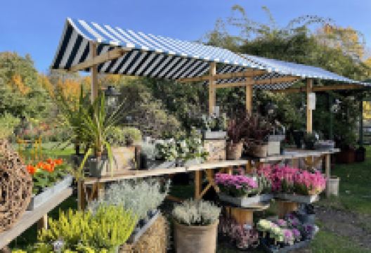 Humlets Trädgård & Design购物图片