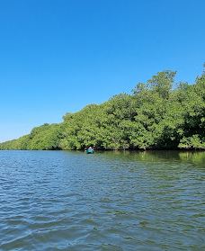 Biotopo Monterrico-Hawaii-El Hawaii