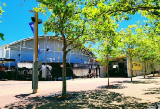 Monster Skatepark景点图片