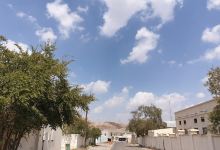 Mohammed Al-Sharif Mosque景点图片