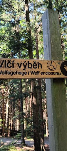 Vlčí výběh Srní (podívání zvenku)-斯尼