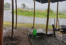 Brisas del moca景点图片