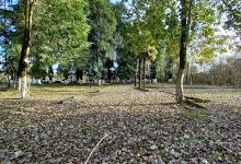 WWII Memorial Park景点图片