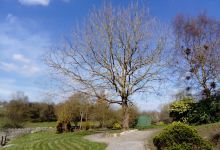 Ballingarry Playground景点图片