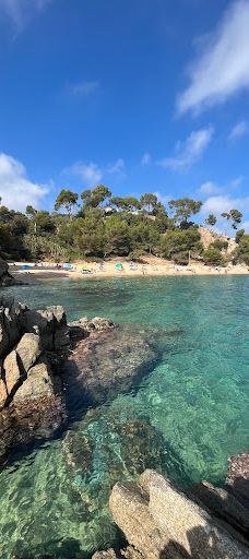 Jardí Botànic Tropical Paratge Pinya de Rosa-布拉内斯