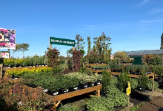 Twickenham Plant Centre购物图片