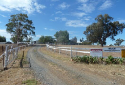 Tablelands Premier Meats购物图片