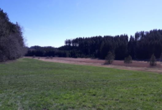 Igelsee Nature Reserve景点图片