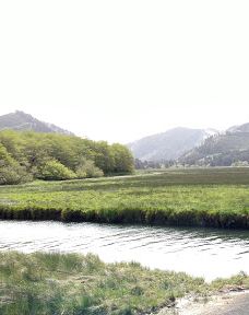 Siletz Bay National Wildlife Refuge-林肯县