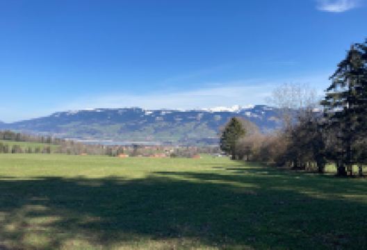 Sentier des Sculptures景点图片